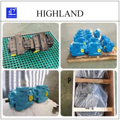Gietijzer het Achter elkaar van het Hoogland Hydraulische Pompen van het douaneontwerp