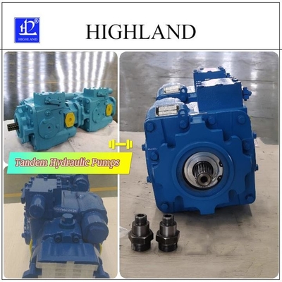 1 jaar gietijzeren tandem hydraulische pompen met zwarte of blauwe kleur