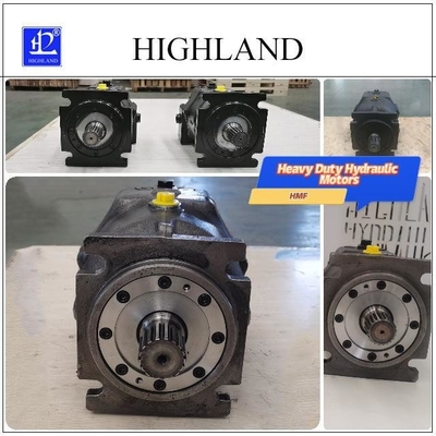 Industriële zware hydraulische motoren voor moeilijke omstandigheden